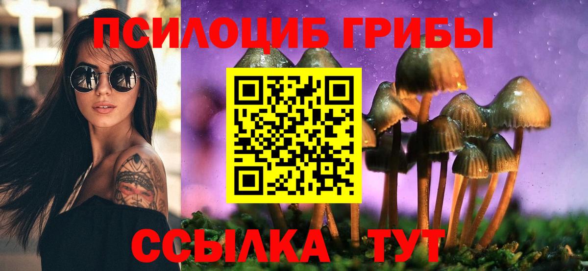 Каспийск  Галлюциногенные грибы мухоморы  Псилоцибиновые грибы Psilocybine cubensis  Вход с VPN 